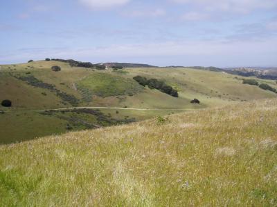 MTB cross country course