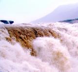 Yaks River-Crossing at Hukou Waterfall