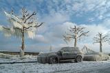 Frozen cars and trees