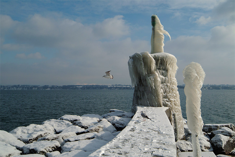 Jetty !