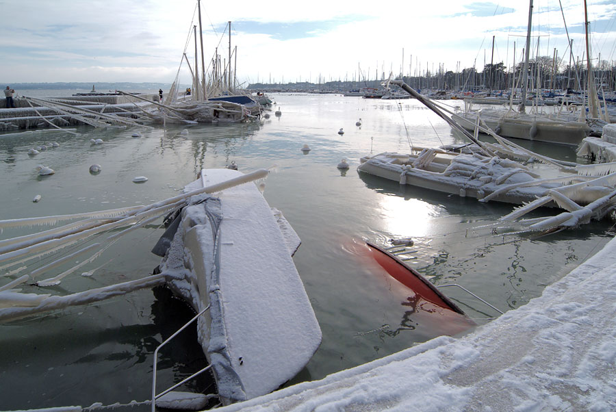 Ice Storm collateral damages...