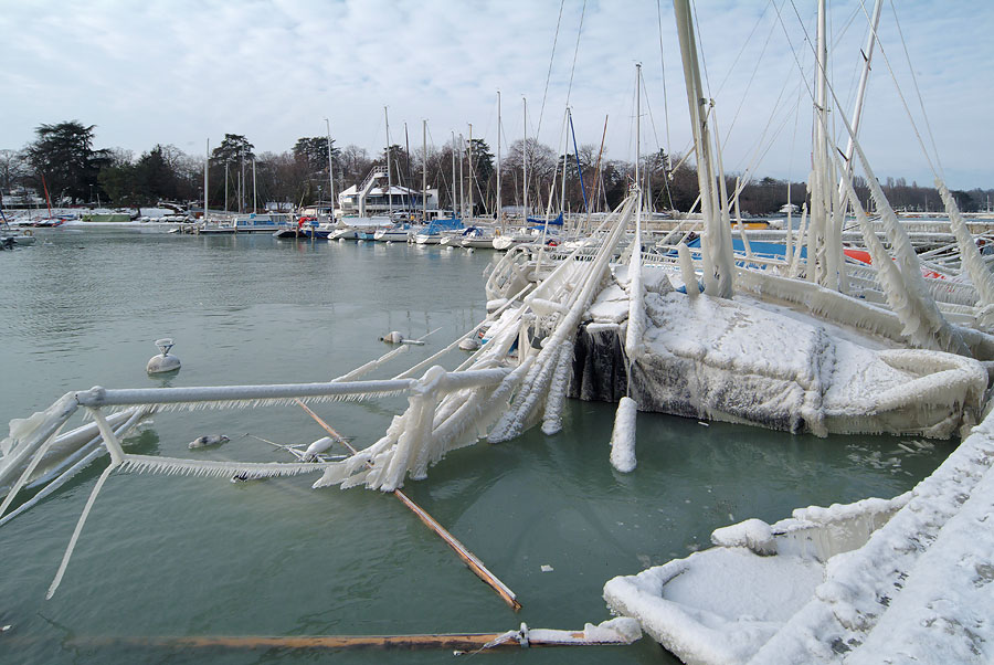 Ice Storm collateral damages...
