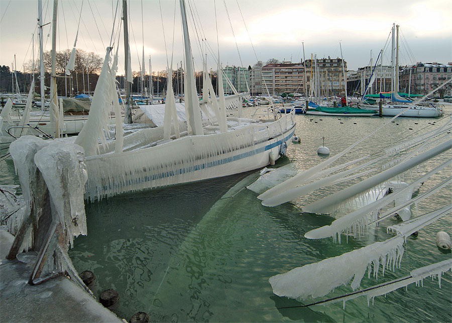 Ice Storm collateral damages...