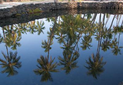 Royal fish-pond and coconut palms, Pu'uhonua O Honaunau