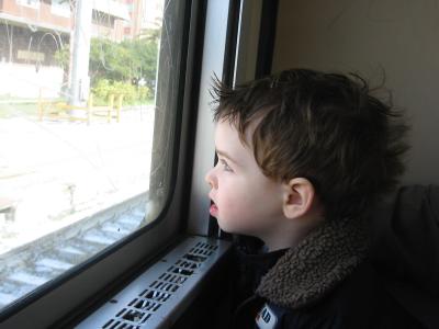 Seeing all the sights