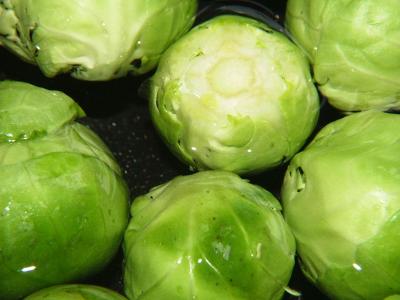 I Love Sprouts