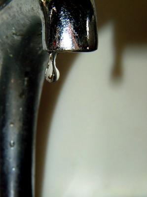 u17/serenab/medium/42336448.02.jpg