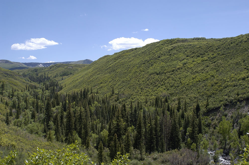 Grand Mesa, Colorado