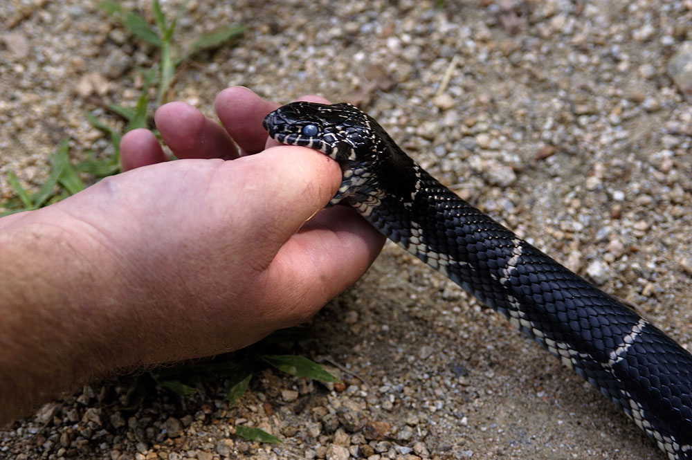 He just doesnt want to let go