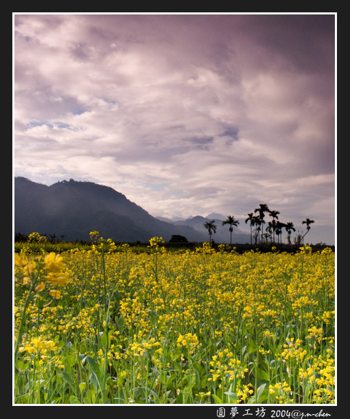 CRW_0315-16.jpg