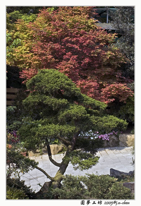 DSC_1606.jpg