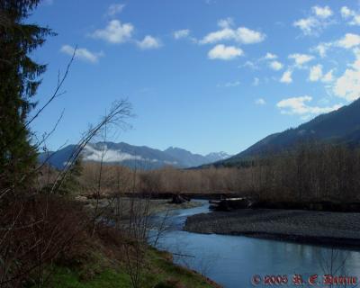 Hoh River and Olympic Mountains