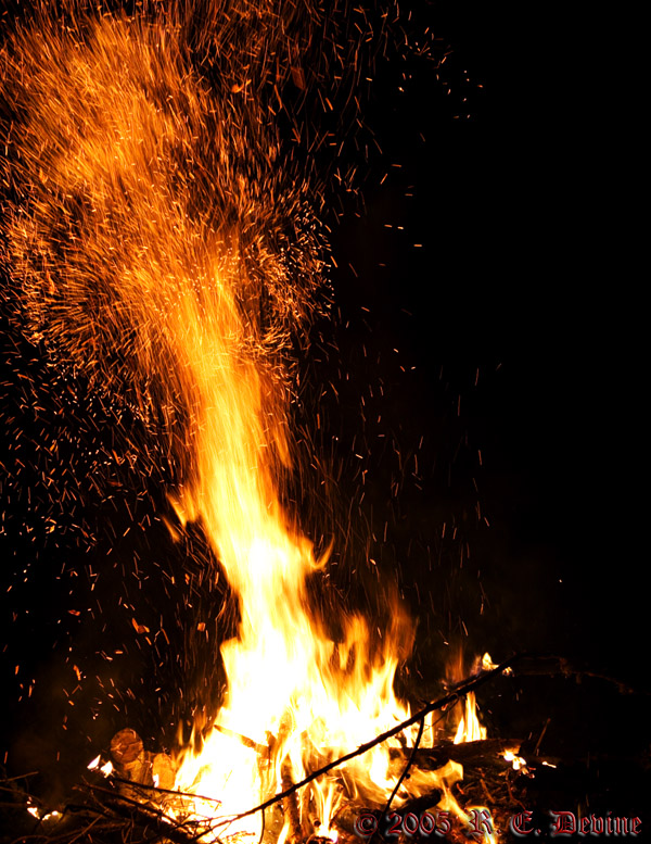 Backyard Fire  - April 19, 2005