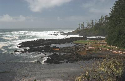 Wild Pacific Trail - Big Beach 1