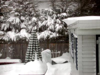 snow on shed