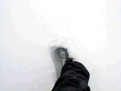 my foot (part of Judy)