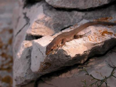 tn_Img01005.jpg
