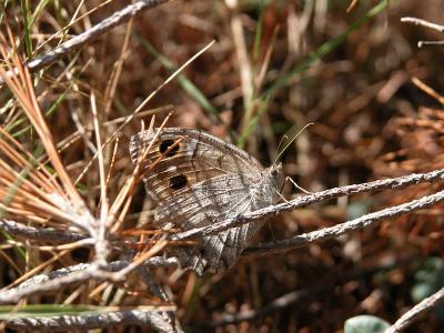 tn_Img01297.jpg