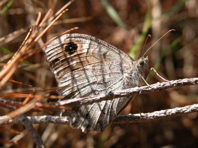 tn_Img01303.jpg
