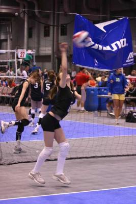 IMG_5654.jpg
