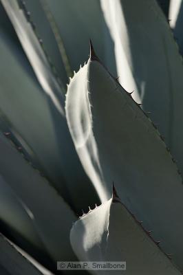 _N0Z5097.jpg