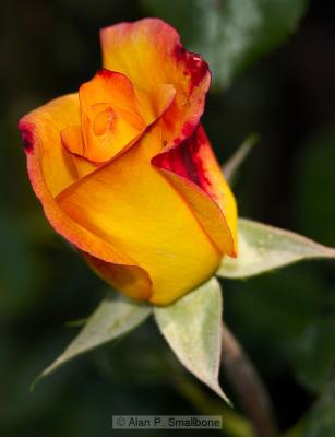 _N0Z5123.jpg