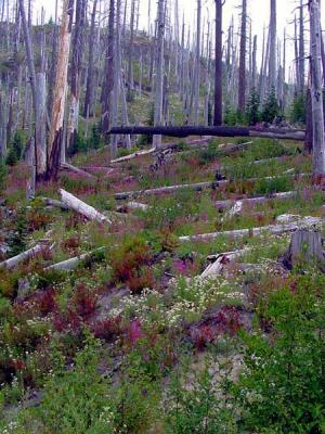 Image 2 - Aug, 2002