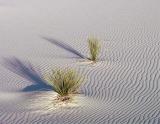 White Sands NM