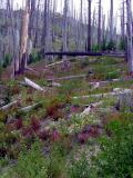 Image 2 - Aug, 2002