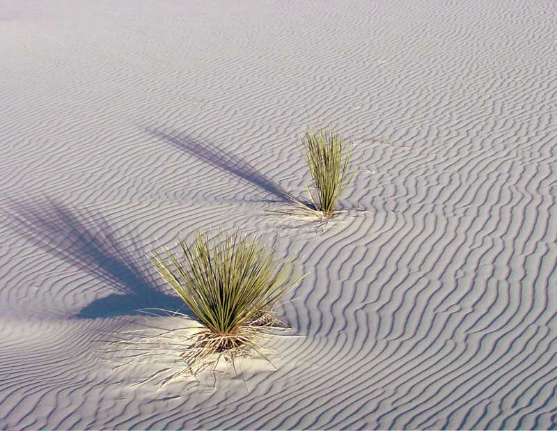 White Sands NM
