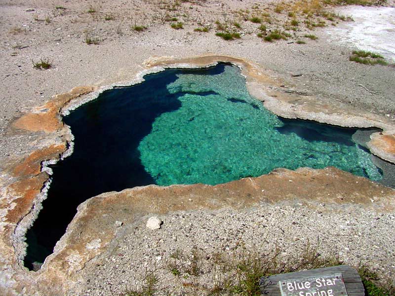 Blue Star Spring