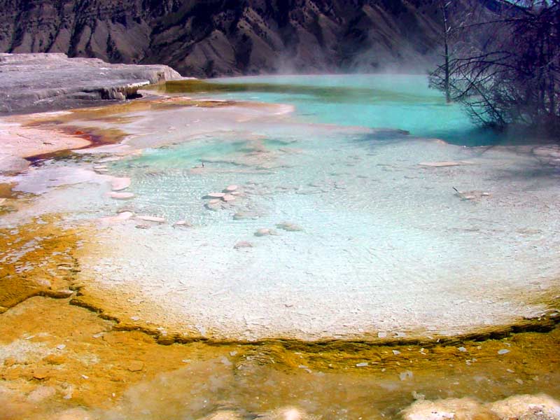 Mammoth Hot Springs