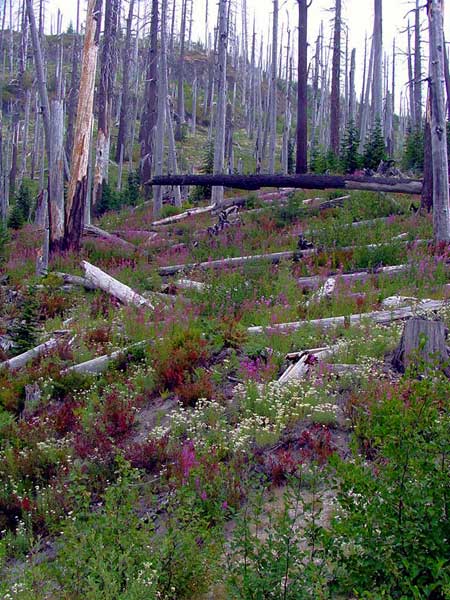 Image 2 - Aug, 2002