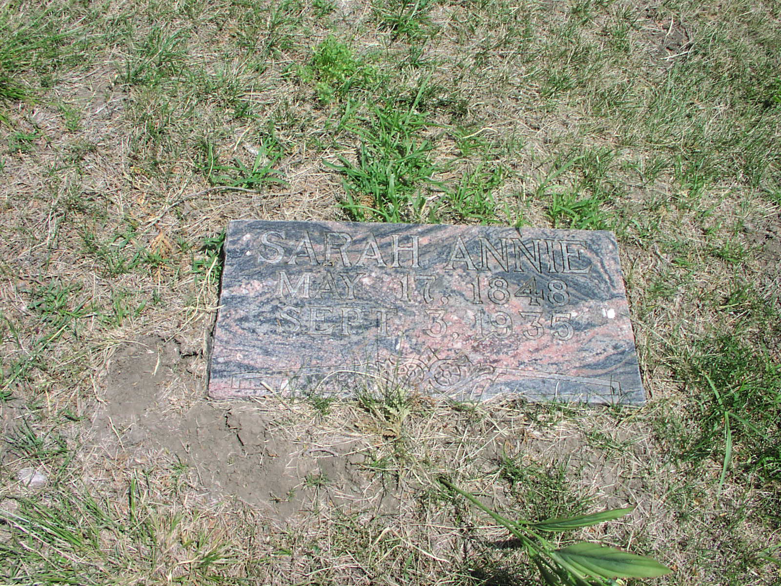 P1010067.JPG