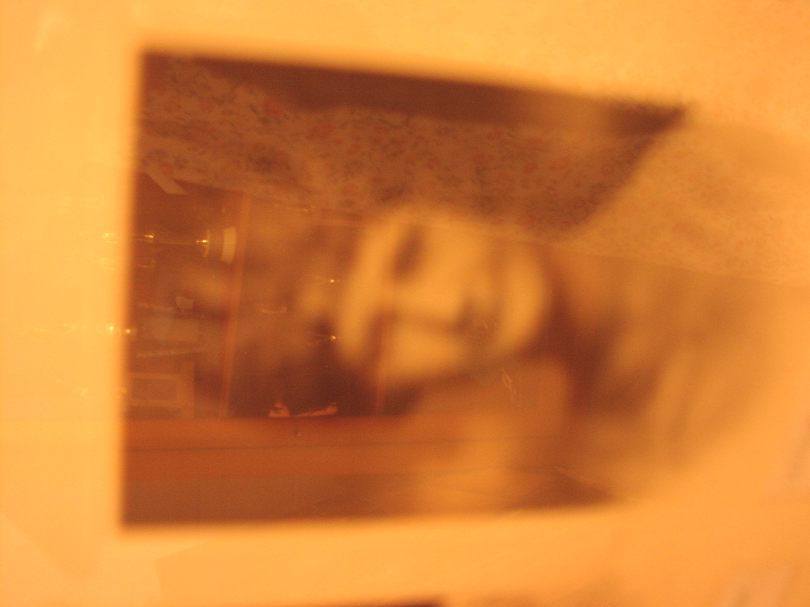 P1010014.JPG