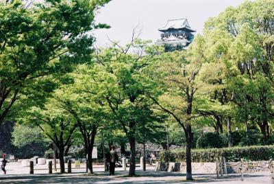 F1080008.jpg