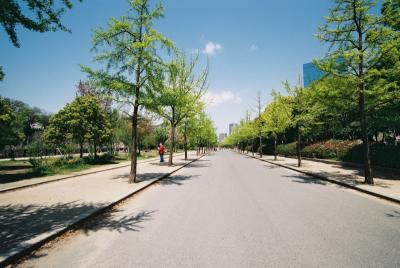 F1100025.jpg