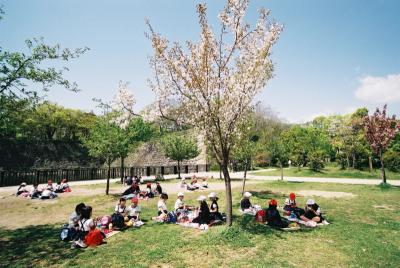 F1100028.jpg