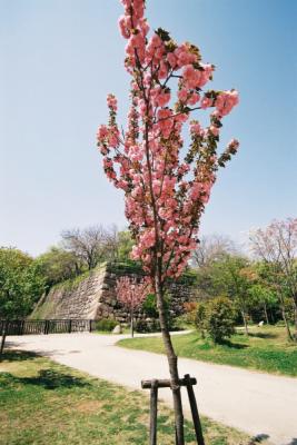 F1100029.jpg
