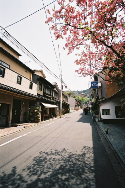 F1010020.jpg