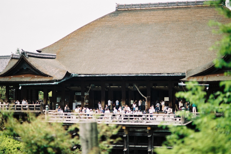 F1020032.jpg