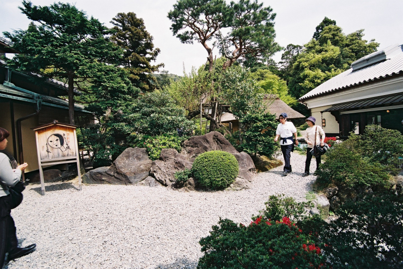 F1060027.jpg
