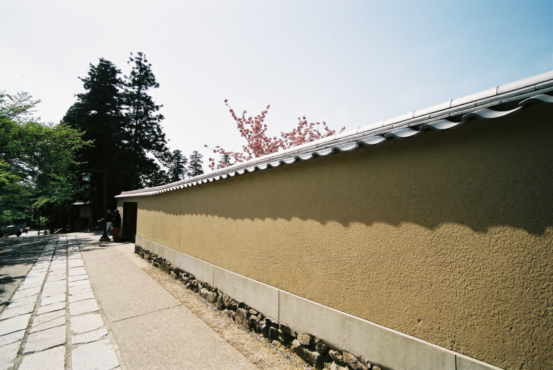 F1090001.jpg