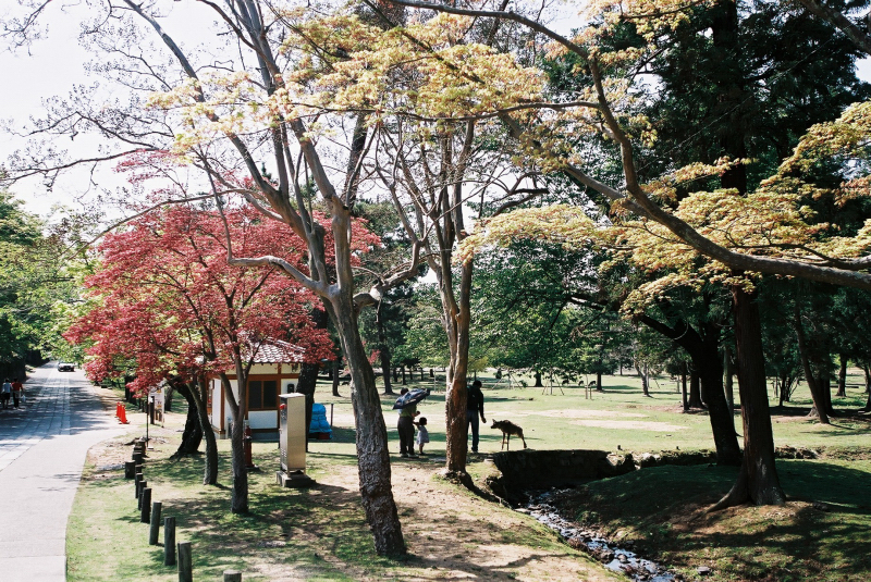 F1090003.jpg