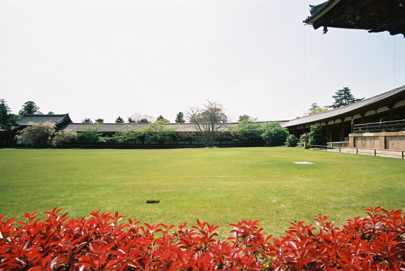 F1090010.jpg