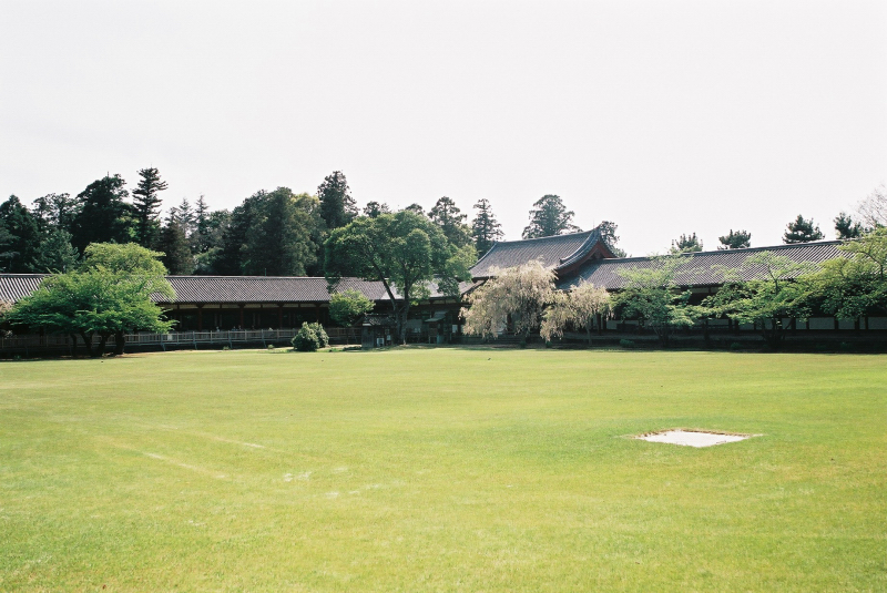 F1090011.jpg