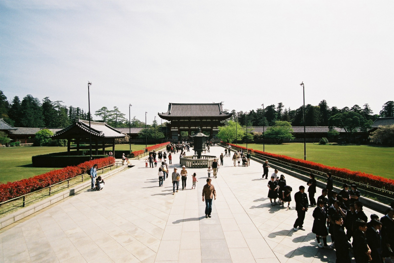 F1090012.jpg