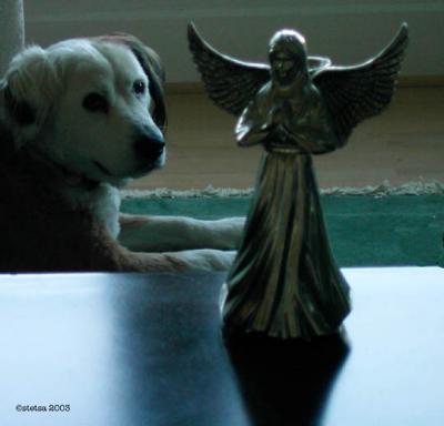 angelic.jpg