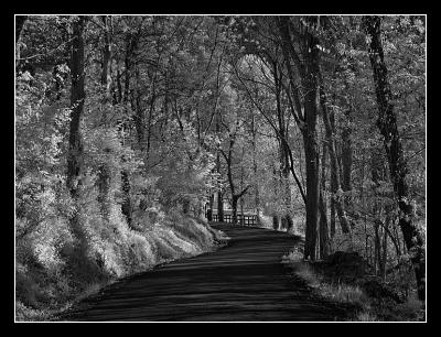 5th Place [tie]'Country Road' (James Taylor)