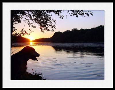 Potomac Sunsetby SterlingRick Trinnes